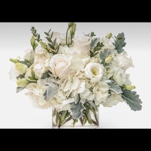 Meet your Posher, Dallas